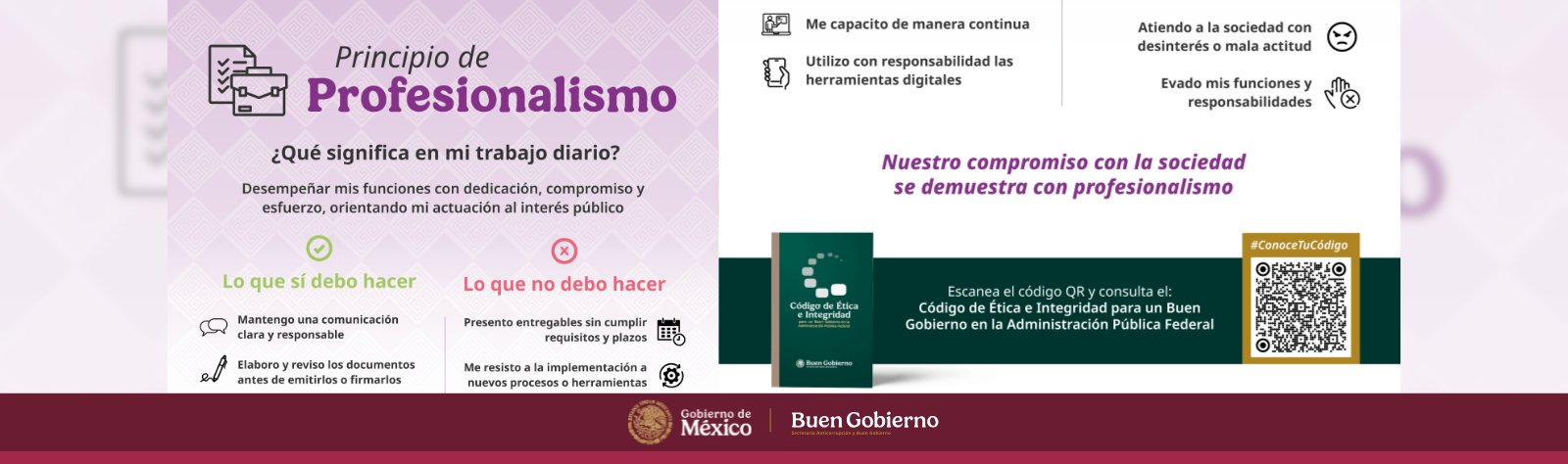 C12-2026 Principio de Profesionalismo